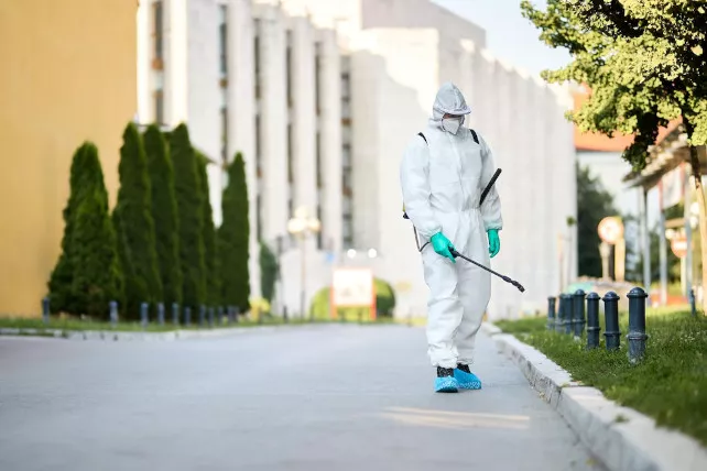 Avviso: disinfestazione dell'abitato